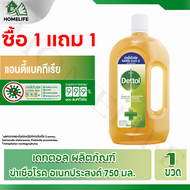 ซื้อ 1 แถม 1 Dettol เดทตอล  น้ำยาฆ่าเชื้อโรคอเนกประสงค์ ฆ่าเชื้อแบคทีเรีย ไฮยีน ดิสอินแฟคแทนท์ 750 ม