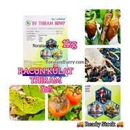 Fungicide 1kg BV Thiram 80WP Thiram 80.0% Racun Kulat Tanaman Pokok Durian Cili Pisang Jagung Akar Daun Benih Antraknose