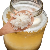 HR Organic Water Kefir Grains Starter Culture 150ml/15g