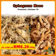 (100g-500g) Chilean Sphagnum moss 7A Premium 智利水苔