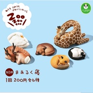 Zoo Dormant P8 Rolled One Group Sleeping All 6 Models