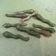 泰國聖物 阿贊奧 生命種子 感情分手招財挽回