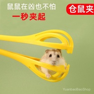 Perangkap Tikus Hamster Viral dan Hamster Emas |     Alat halal mesra haiwan peliharaan |     Mainan