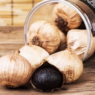 ORGANIC FERMENTED BLACK GARLIC / THEBAWANG / BAWANG PUTIH TUNGGAL / BAWANG HITAM / BAWANG SOLO