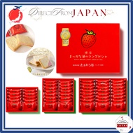 Hakata Makkana Strawberry Langue de Chat 10pcs/ 16pcs /24pcs Amaou Strawberry Fukuoka Hakata Souveni