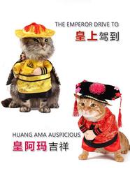 ♥萌妞朵朵♥寵物服飾 貓咪衣服 皇上皇帝格格直立裝 變身裝 創意狗狗衣服 搞笑娛樂衣服 時裝秀 寵物用品