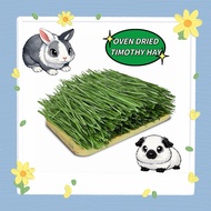 Timothy Hay Oven Dried Timothy Hay Oven baked Timothy hay Rabbit Chinchilla Guinea Pig Food烘干提摩西草兔子龙