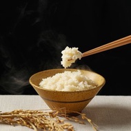 自在食刻-蒟蒻調和飯箱購套組