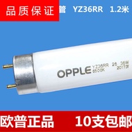 OPPLE OPLE T8 Old-fashioned Fluorescent Tube YZ36RR 36W6500K Warehouse Workshop Dedicated Straight T