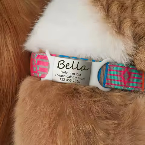 Personalized Custom Slide On Dog ID Tag Cute Silent Dog Tag Engraved Silicone Dog Name Tag Funny Pet