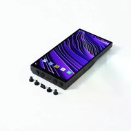 Dust Plug for Hiby RS8 R8II R8 R6III R6 PROII RS6 New R6 2020 RS6 R4 EVA R4 R3 ProII R3II Digital M3