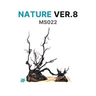 Layout Nature ver.8 Biotop style used to decorate Betta fish tank 20x20x20cm (Ms022)