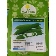 Green Luffa Seeds F1 10 seeds