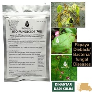 baja durian Bio Fungicide for Plants 70g Racun Kulat Pokok Durian 复合菌 青枯病 益菌肥 植物益菌 Baja Durian Racun Kulat Organik SHS Kebun