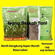 Benih Kangkung 1 KG SUPER MURAH Produk Permata Baru | Bibit Kangkung 1 kg