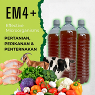 EM4+ Effective Microorganisms untuk Pertanian, Perikanan & Penternakan