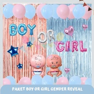 Reveal Boy Gender Decoration Package or Girl Reveal Decoration Aesthetic Gender/