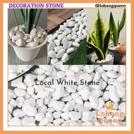 1KG Local White Stone River Pebble Gardening Landscape Decor Massage Stone Batu Hiasan Putih Refleks