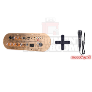 เครื่องขยายเสียงบลูทูธ D900แอมป์จิ๋ว D800 เครื่องขยายเสียงบลูทูธ D900 แอมขยายเสียง เครื่องขยายเสียง