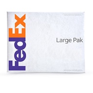 FedEx Reusable Large Pak
