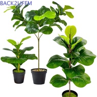 BACK2LIFEM Artificial Fiddle Leaves Fig Tree, Large Vibrant Fake Ficus Tree, Green Plant Delicate Pl