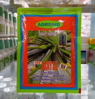 Benih Zukini Hibrida Jacky Z-6 50gram