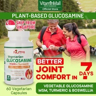 Nutri Botanics Vegetarian Glucosamine MSM Turmeric for Joint &amp; Knee Pain Relief - 60 Capsules - Joint Support Supplement