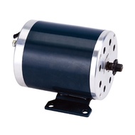 MY1020 500W DC  24V 36V 48V ,brush motor electric tricycle , DC high speed brushed motor, Electric S