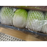 1Pcs Kids Toys Squishy Cabbage Vegetable Door Present