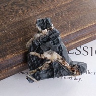 wind-cut stone 內蒙古產地 戈壁石 風凌石 風礪石 天然礦石 原礦