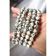 (SG local seller - Alunna Crystals) Natural Dalmatian Jasper Crystal Bracelet