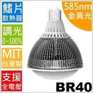 【台灣精製】可調光LED燈泡(幽浮概念款 PAR38; BR40)｜15W,廣角型｜金黃光,波長585-595nm｜*生物 化學 工業 動物 植物 驅蚊特殊光譜照明)