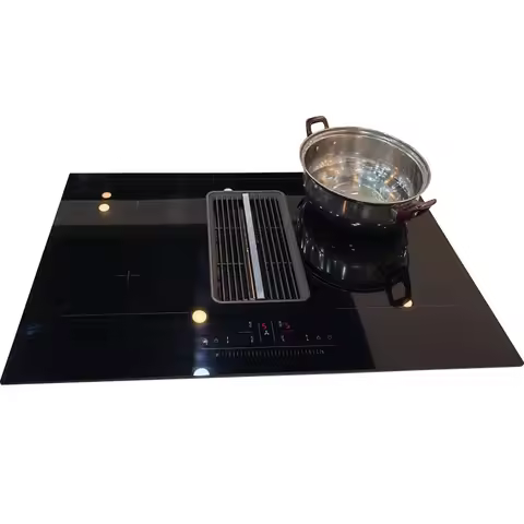 Home Appliances Induction Cooker With 2 Burners Induction Built in Oven Germany IGBT
