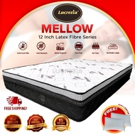 Lucrezia Mellow (12 inch) Latex Feel Foam Coconut Fibre Mattress / Tilam / 椰丝床垫 Single Queen King