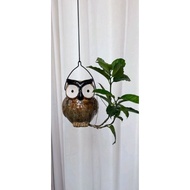 Terracotta pot - glazed fat dwarf owl pot with mouth 7, height 17cm