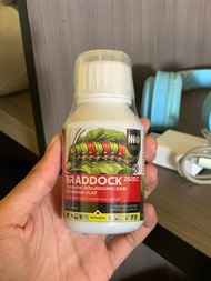 BRADDOCK INSEKTISIDA - PENGENDALI HAMA ULAT GRAYAK WERENG SUNDEP PENGGEREK BATANG KUPU PUTIH