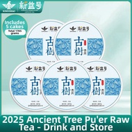 XINYIHAO | Aged Tree Raw Puer Cake Daily Drinking 7-sons Tea