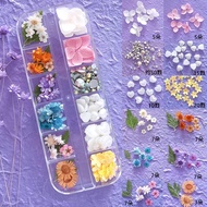 Dried Flowers on Face Butterfly Makeup Face Face Stickers Sequin Stickers Diamond Face Decals Face S