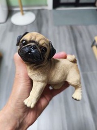 八哥犬擺件