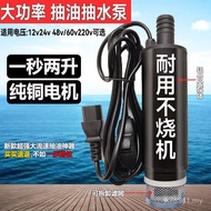 Water Pump Watering 48v60v Household 220v Water Pump Garden Oil Pump Submersible Pump Water Pump Ele