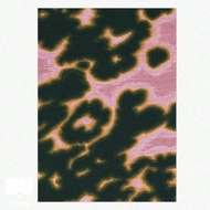 Animal Print Pink Green Area Rug Gradient Dopamine Home Items Aesthetic Living Room Eclectic Bedroom