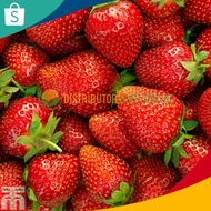 Bibit Strawberry California Jumbo