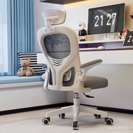 Student Comfortable Computer Chair Learning Sedentary Chair Adjustable Waist Support Ergonomic Chair