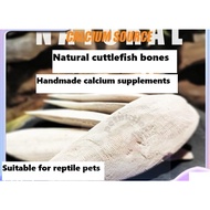 Pet Cuttlefish Bone Tulang Sotong Peliharaan Tortoise Calcium Supplement Reptile Pet Molar Bones Nat
