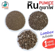 (1 Kg) Volcanic Rock Pumice Potted Stone Mixed With Soil For Planting Materials Size 00 01 02 Cactus