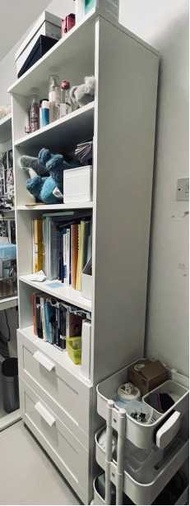 $50 IKEA 書櫃