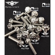 Combo of 4 Salaya 304 M3 Screws, Thai 8Ly25 Mounted to Rear Footrest Raider, Satria, Sonic, Ex, Win 