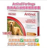 Antinol For Dogs 狗用青口油精華關節膠囊