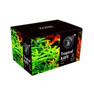 [Blue Box Aquarium] Japan ZOOX Adjustable Focus Distance Succulents Block Root Plants Foliage Water 