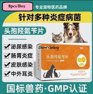 Cefadroxil Tablets for Bacterial Infections in Pets Cat Dog 8pcs